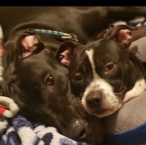 Meet your Posher, Edward